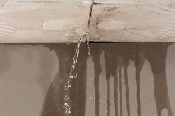 Professional Structural Drying technician working in Winfield, IN